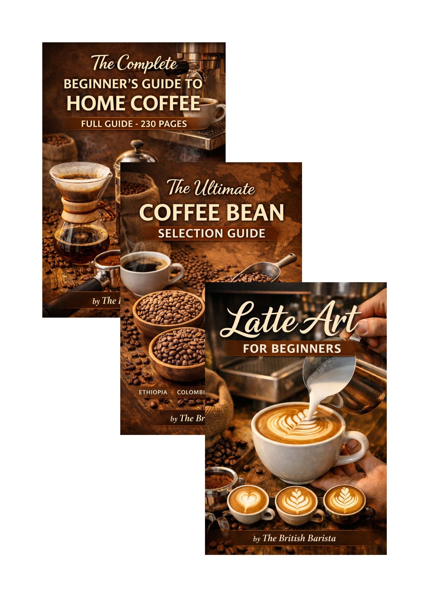The Complete Beginner's Coffee Journey